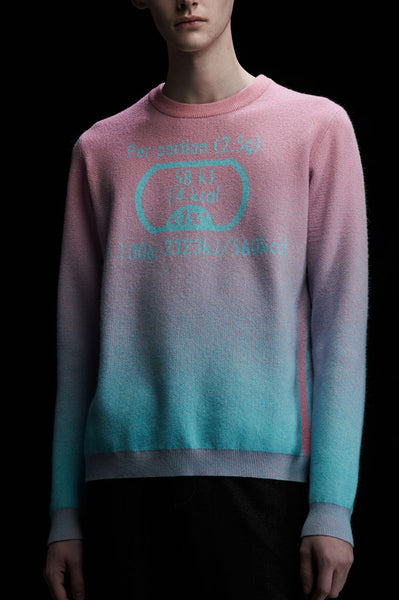 Andy Collection- Calories Graphic Knitted Jacquard Round Neck Top - Pink/Blue - Johan Ku Shop