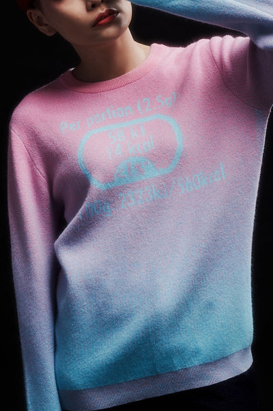 Andy Collection- Calories Graphic Knitted Jacquard Round Neck Top - Pink/Blue - Johan Ku Shop